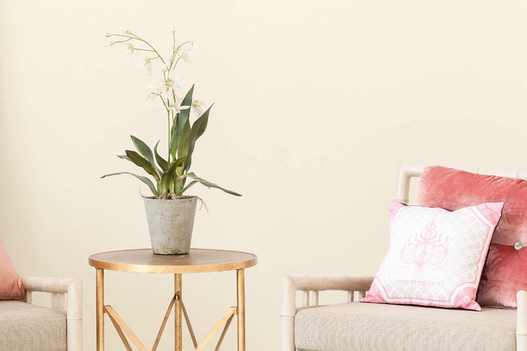 Dekoratives Interieur mit Tisch, Zimmerpflanze und Kissen