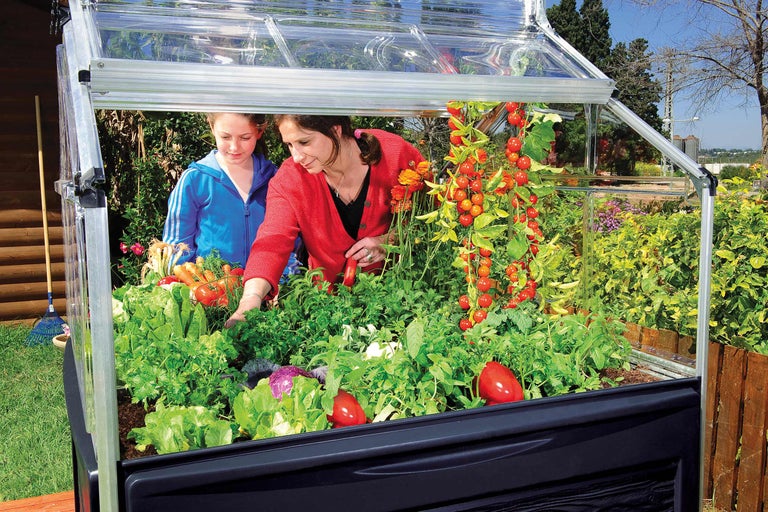 Hochbeet mit Gemüse und zwei Personen im Garten