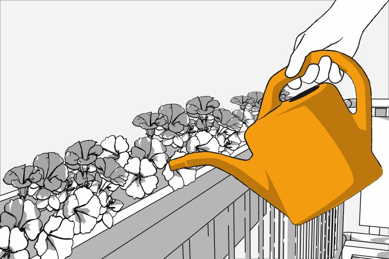 Hand gießt Blumen in einem Blumenkasten mit einer Gießkanne.