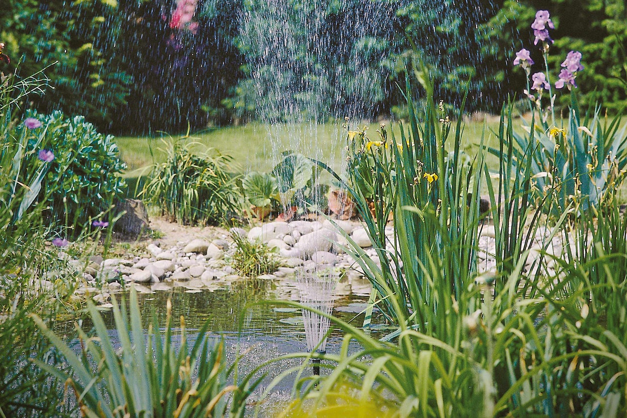 Teich mit Springbrunnen und üppiger Uferbepflanzung im Garten