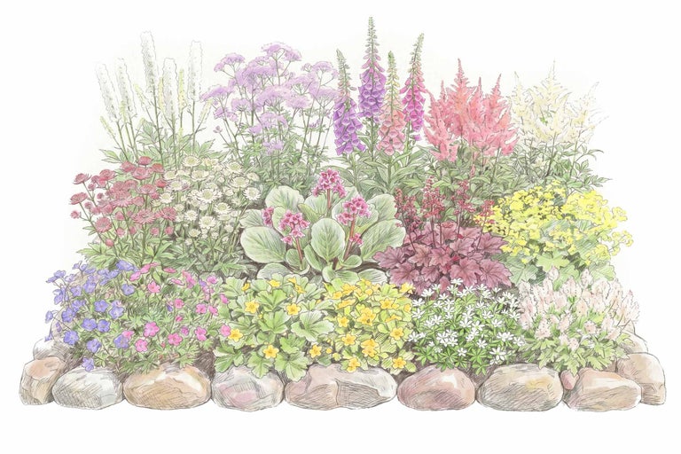 Illustration eines geordneten, gestaffelt bepflanzten Blumenbeets mit verschiedenen Stauden und einer Beeteinfassung aus großen Steinen.