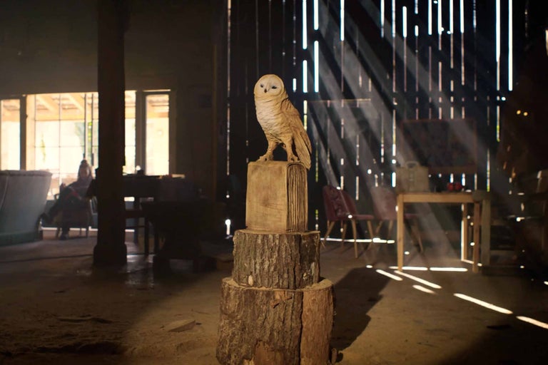 Dekorative Eule aus Holz auf Baumstümpfen in Werkstatt