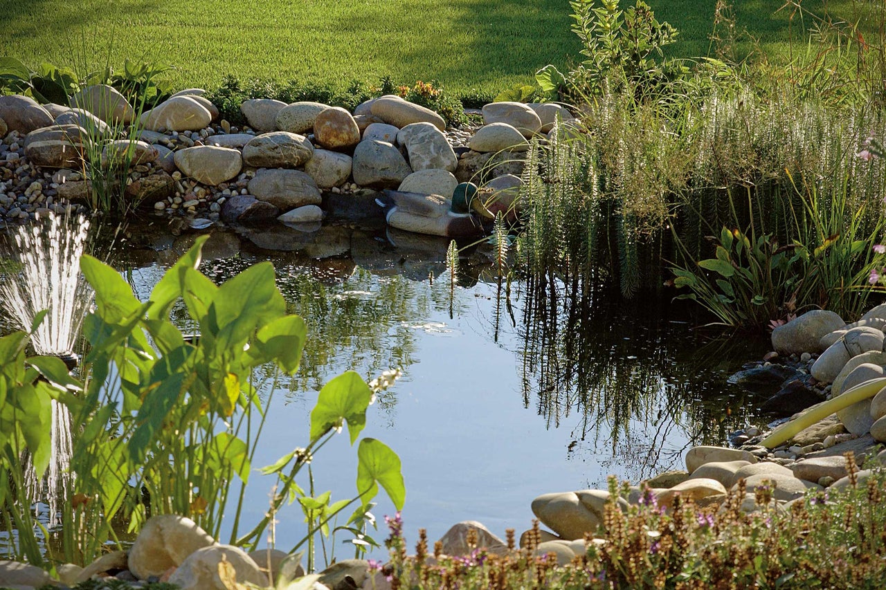 Gartenteich mit Steinen, Pflanzen und Teichfigur