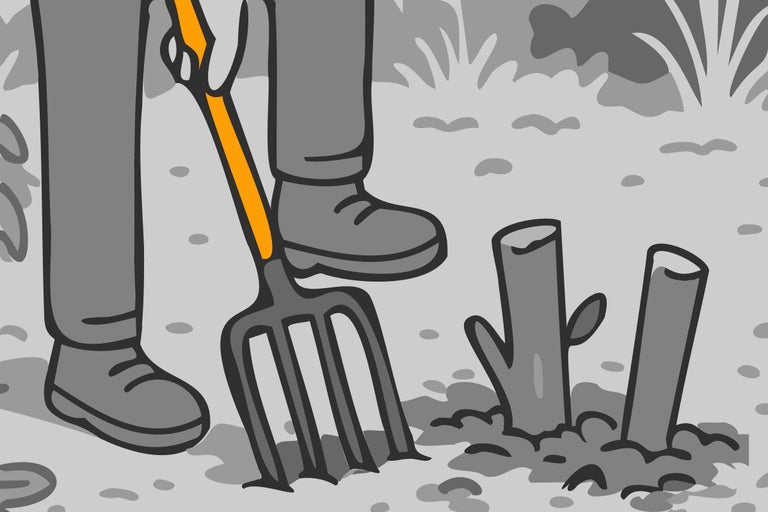 Illustration einer Person mit einer Grabegabel im Garten beim Pflanzen von Baumstümpfen