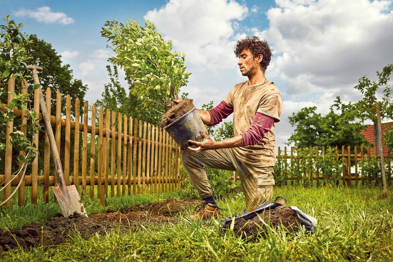 Ein Mann kniet im Garten und hält eine Pflanze in einem Topf, bereit zum Einpflanzen. Im Hintergrund sind ein Zaun und Gartengeräte zu sehen.