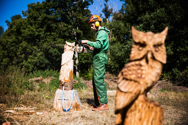 Mann mit Schutzkleidung schnitzt eine Holzskulptur mit einer Kettensäge, im Vordergrund eine geschnitzte Eule