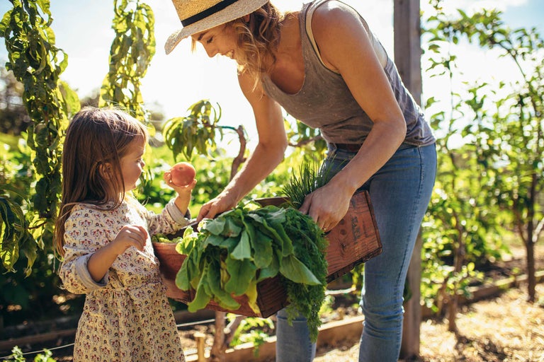 Mutter und Tochter ernten Gemüse im Garten.