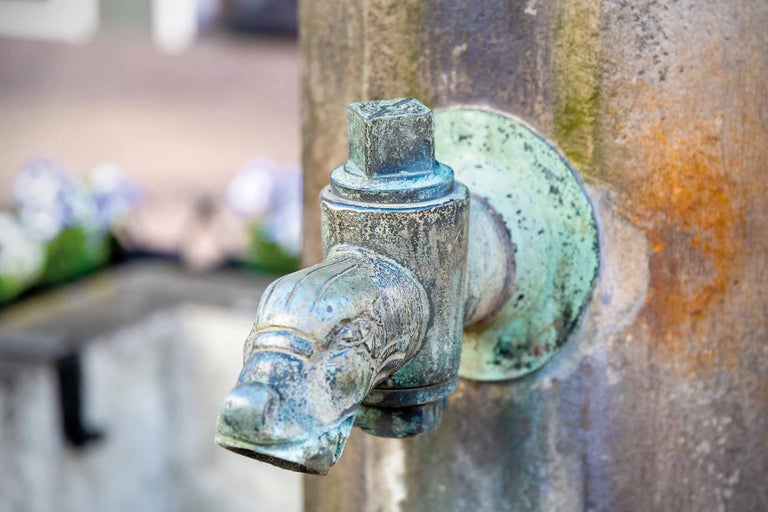Wasserhahn aus Metall mit Tierkopfdesign
