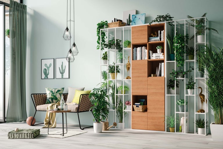 Wohnzimmer mit Sofa, Tisch und Regal voller Pflanzen und Dekor