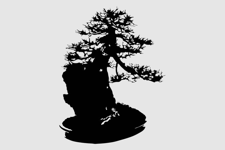 Silhouette eines Bonsai Baumes