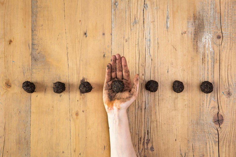 Saatkugeln selber machen