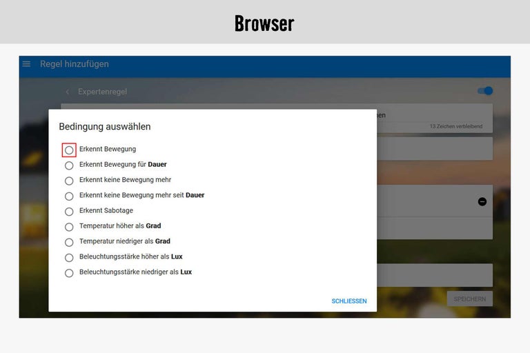 Browseransicht mit der Option Bewegung erkennen
