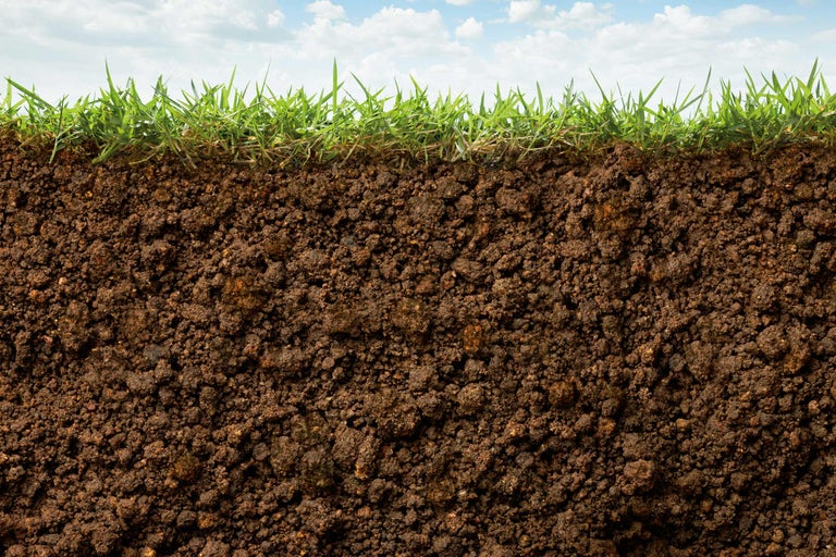 Bodenprofil mit Grasnarbe