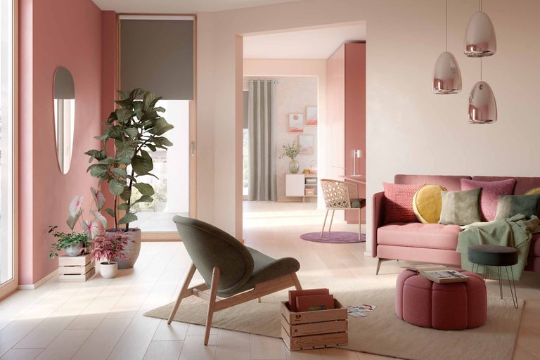 Wohnzimmer mit Sitzmöbeln, Zimmerpflanzen und dekorativen Elementen in hellem und organisiertem Design