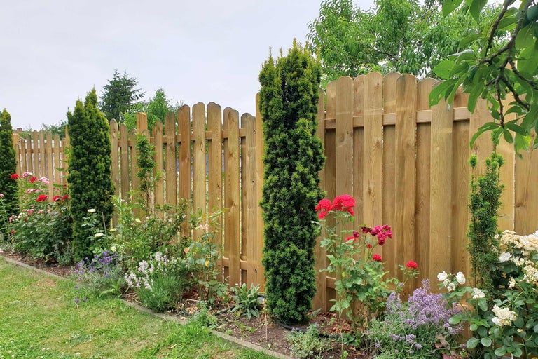 Holzzaun mit Pflanzen und Blumen im Garten