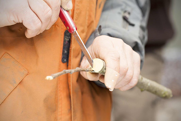 Eine Person schnitzt mit einem Taschenmesser ein Stück Holz.