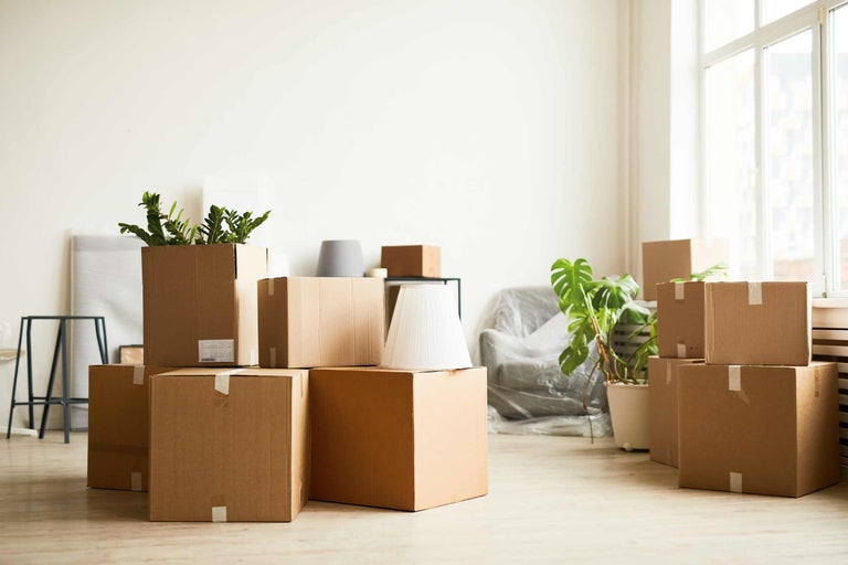Umzugskartons in einem hellen Raum mit Pflanzen und einer Lampe