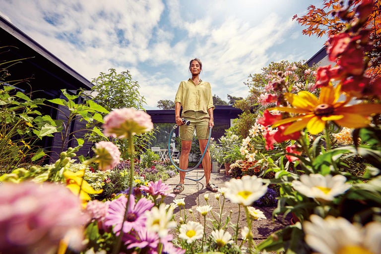 Sommer im Garten