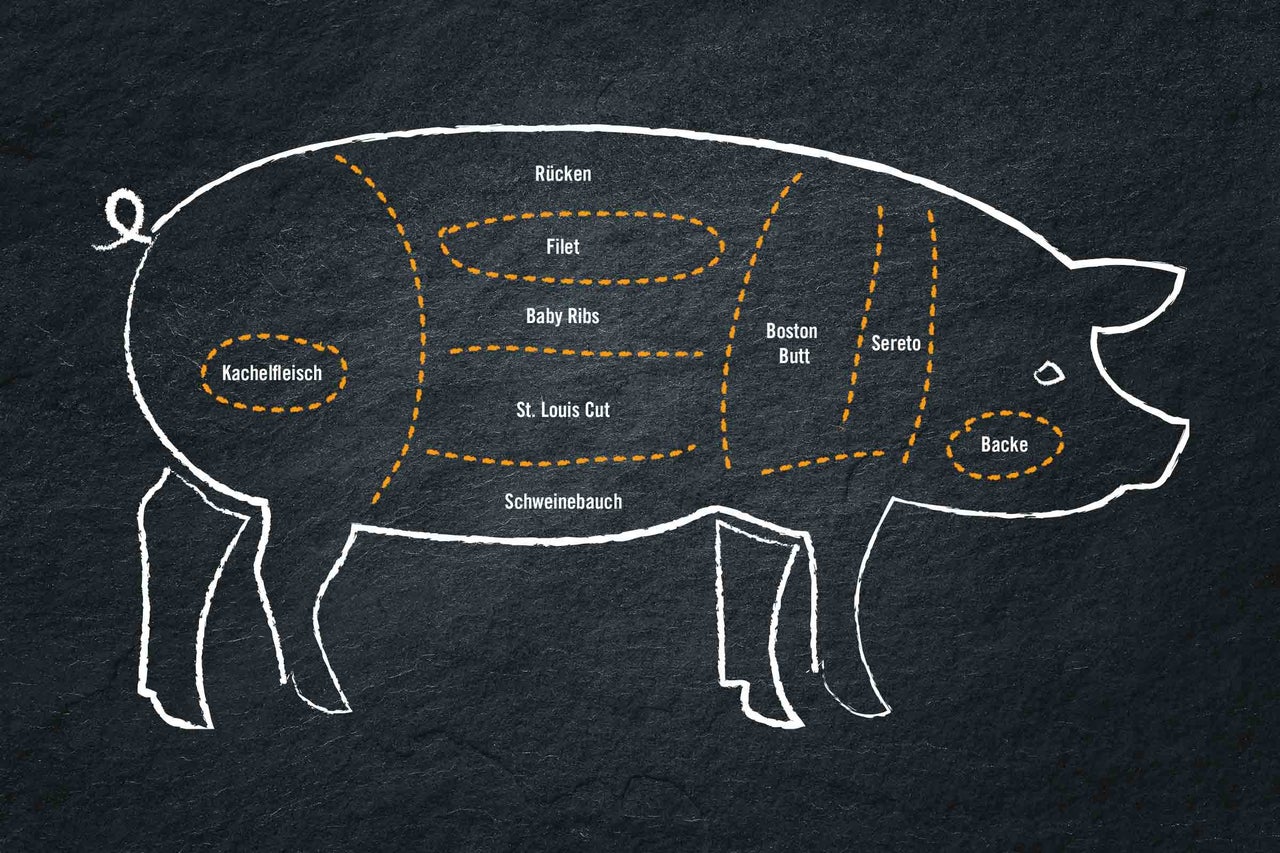Illustration eines Schweins mit Kennzeichnung verschiedener Fleischstücke