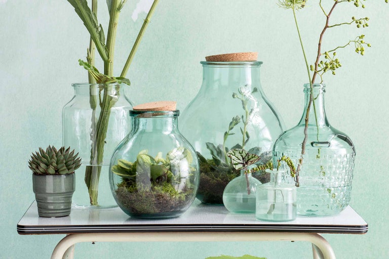 Verschiedene Glasvasen mit Pflanzen und Blumen auf einem Tisch