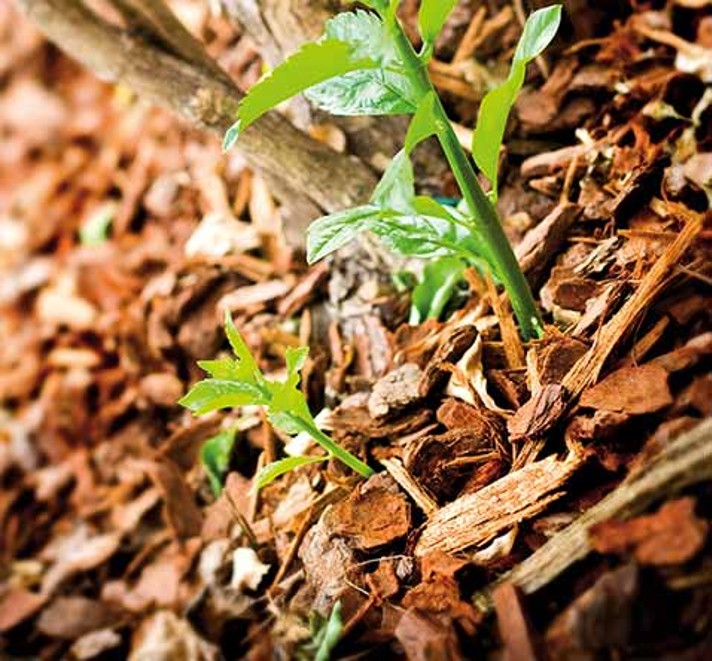Rindenmulch2 Rindenmulch2