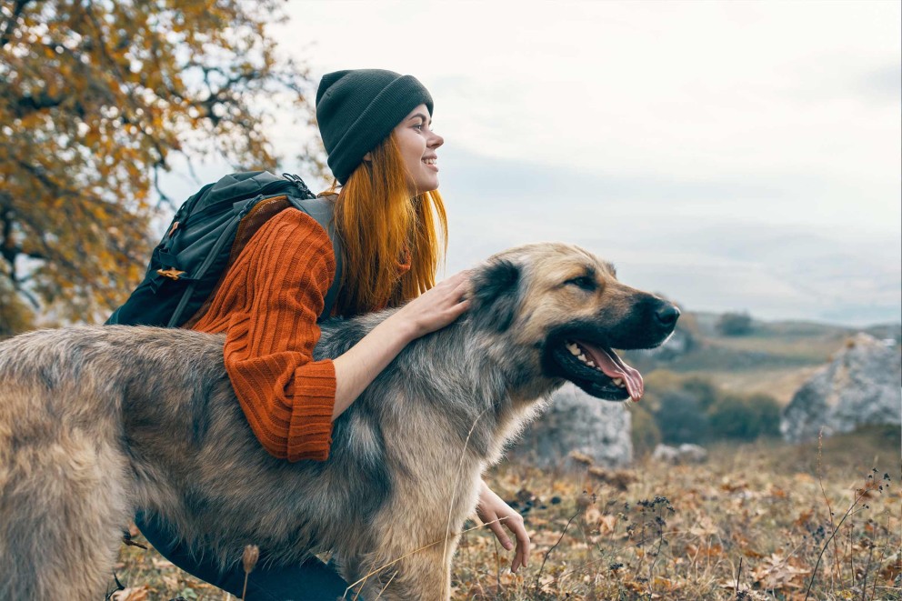 Finevo hund 1 Finevo hund 1