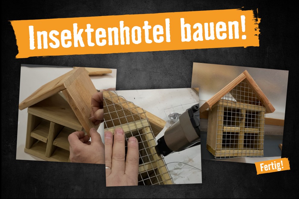 Anleitung Insektenhotel Anleitung Insektenhotel