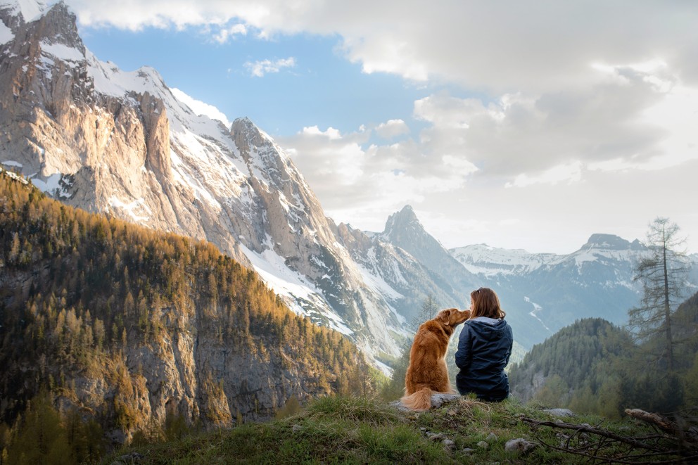Hunde im Sommer Urlaub Hunde im Sommer Urlaub