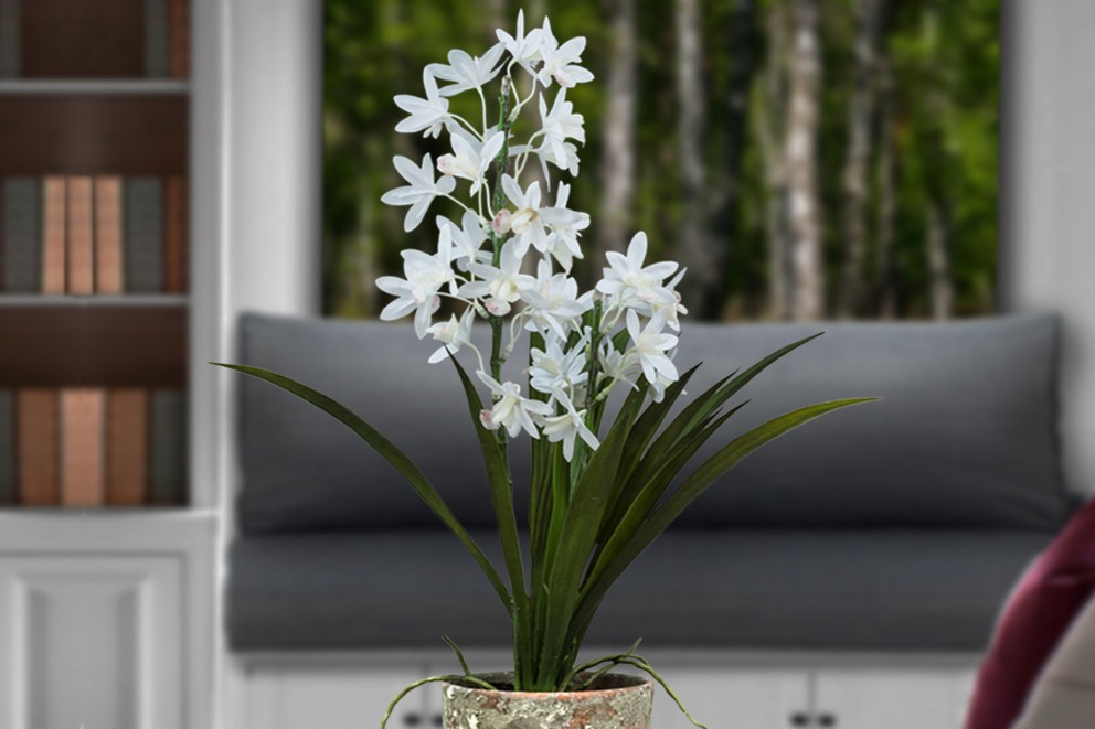 Kunstpflanzen Orchidee Kunstpflanzen Orchidee