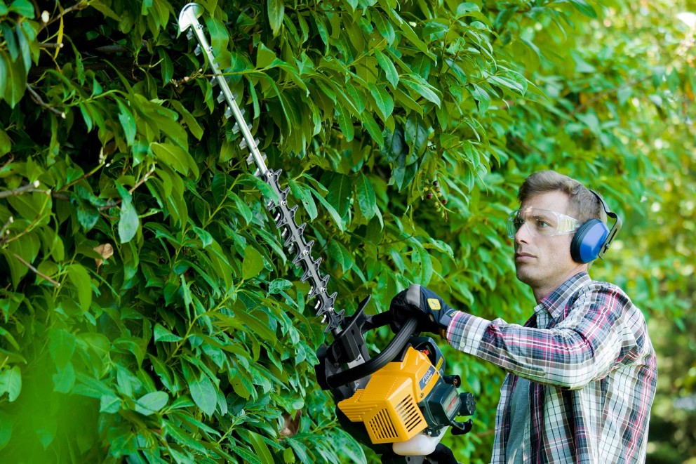 Mann schneidet Hecke mit einer Heckenschere