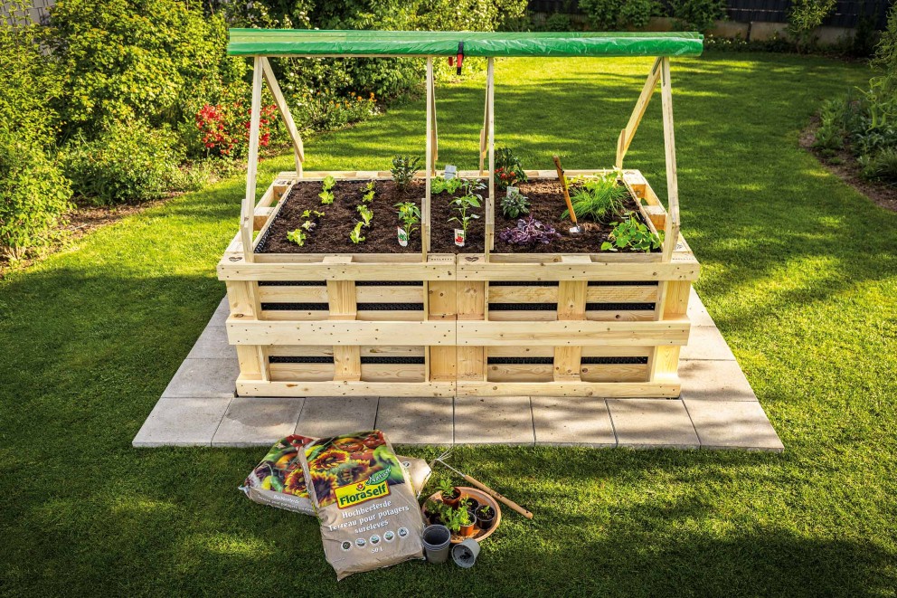 Hochbeet aus Holzpaletten mit Pflanzen und Gartenerde im Garten