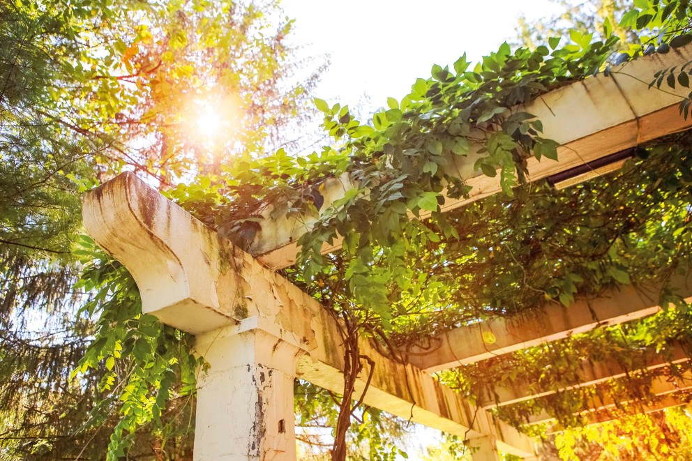 schattenspender im garten pergola schattenspender im garten pergola