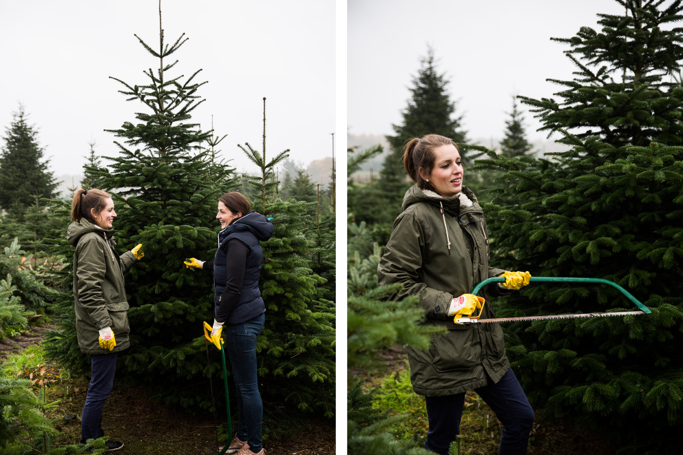 Esther Acason (li.) und Angela Oelkers vom „Hof Oelkers“ in Wenzendorf suchen einen geeigneten Weihnachtsbaum zum Fällen aus. Esther Acason (li.) und Angela Oelkers vom „Hof Oelkers“ in Wenzendorf suchen einen geeigneten Weihnachtsbaum zum Fällen aus.