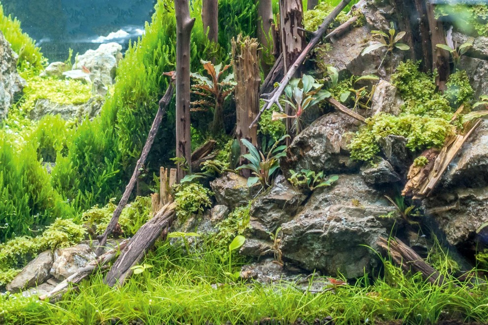 aquascaping hardscape aquascaping hardscape