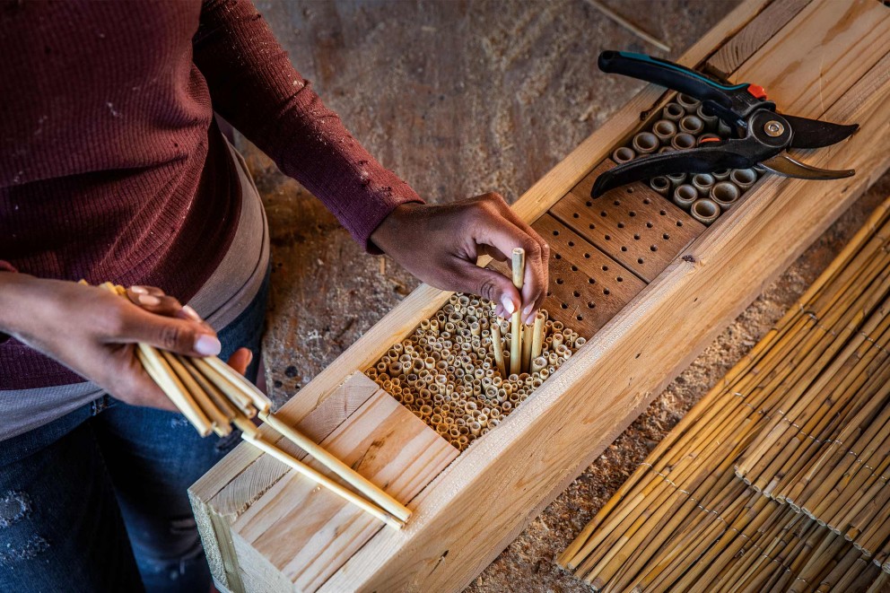 Insektenhotel bauen