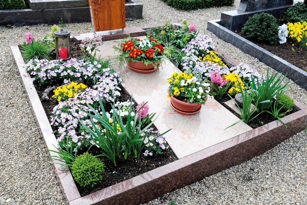 grabbepflanzung im sommer grabbepflanzung im sommer