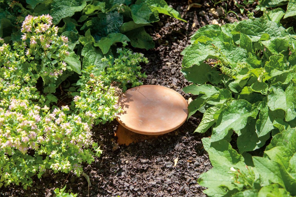 Gartenbewässerung mit Ollas 