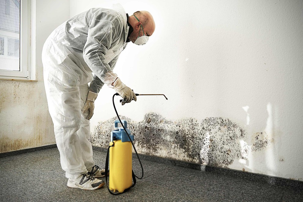 Schimmel bekaempfen Schutzkleidung Schimmel bekaempfen Schutzkleidung