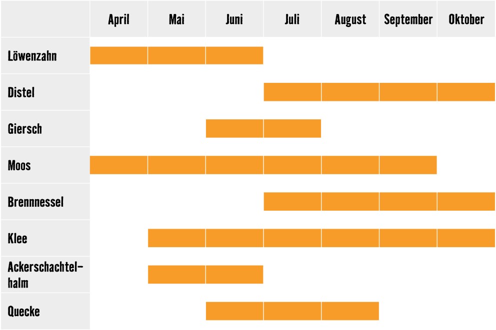 unkrautkalender bluetezeitraum