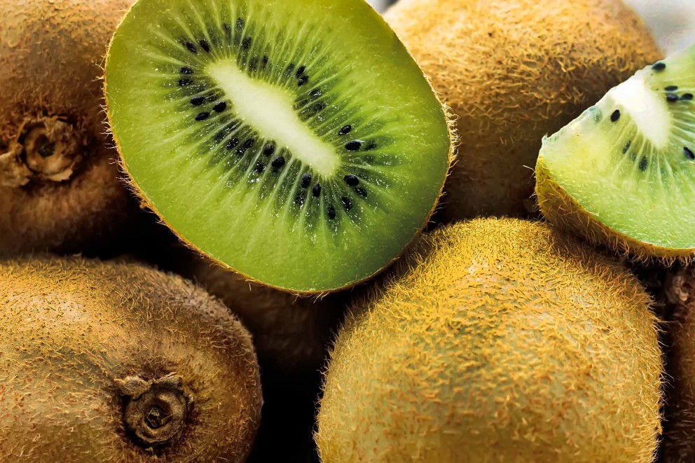 beerenstraeucher kiwi beerenstraeucher kiwi