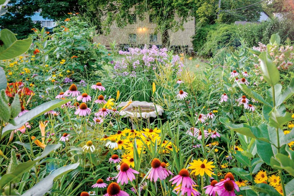 praeriegarten praeriegarten