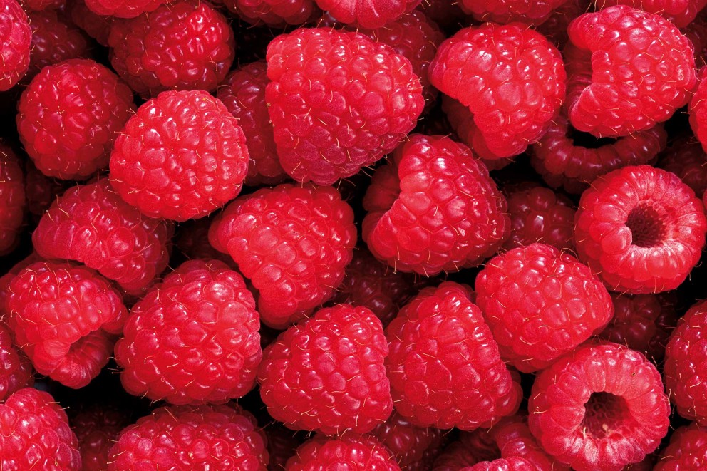 Nahaufnahme von Himbeeren