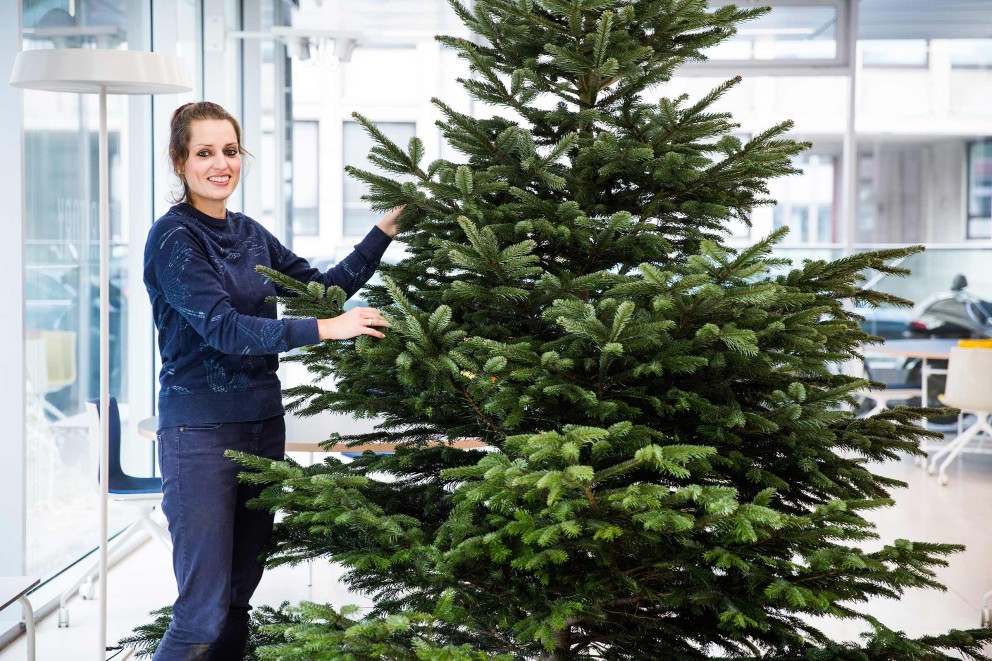 Autorin Esther Acason präsentiert stolz ihren ersten selbst gefällten Weihnachtsbaum. Autorin Esther Acason präsentiert stolz ihren ersten selbst gefällten Weihnachtsbaum.