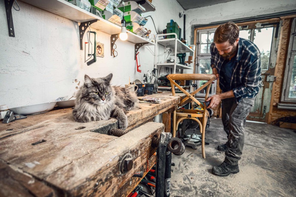 Werkstattszene mit Handwerker, der einen Holzstuhl bearbeitet, und einer Katze, die auf einer Werkbank liegt.
