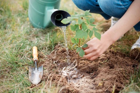 GARDENA Gartenwerkzeug und Gartengeräte kaufen HORNBACH AT