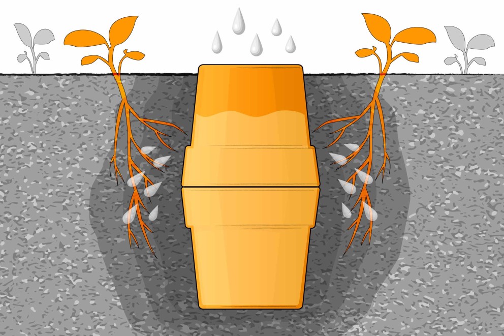 Ollas Bewässerung im Garten HORNBACH