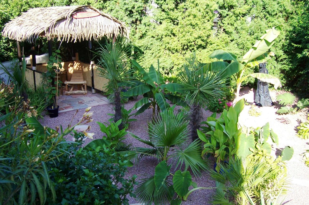 
				Blick von oben in Alexander Wagners Garten mit Palmen und einem Unterstand aus Palmen und Bambus.

			