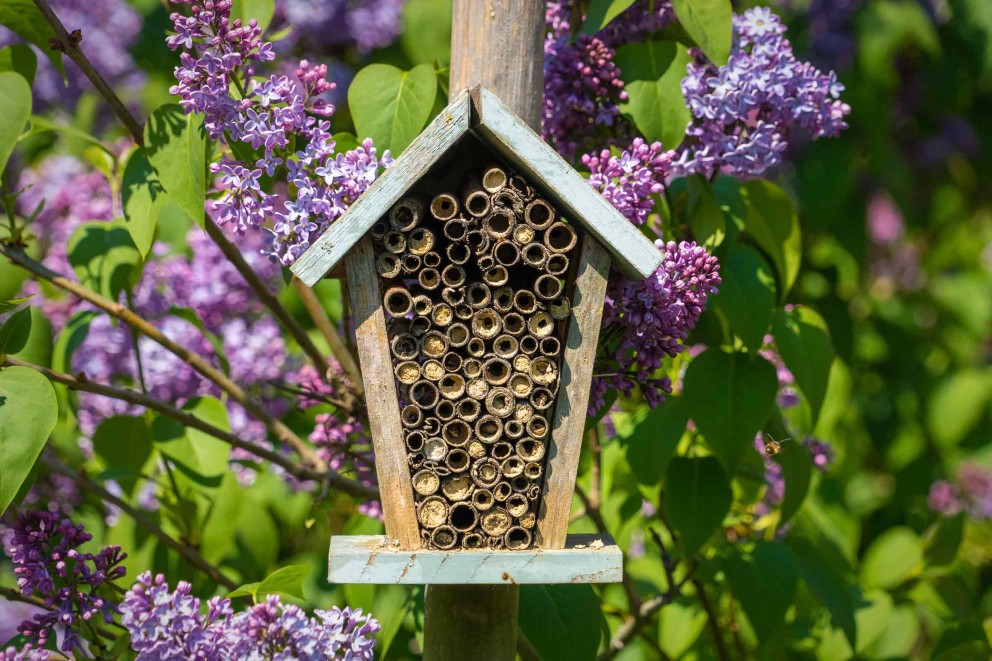 insektenhotel bauen stimmung