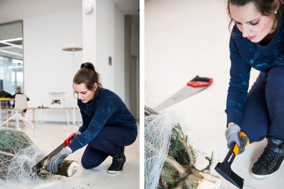 Esther Acason, die ihren ersten eigenen Weihnachtsbaum gefällt hat, sägt ein Stück des Stamms ab und schlägt den Baumstamm der Nordmanntanne mit dem Beil zurecht, damit er in den Weihnachtsbaumständer passt. Esther Acason, die ihren ersten eigenen Weihnachtsbaum gefällt hat, sägt ein Stück des Stamms ab und schlägt den Baumstamm der Nordmanntanne mit dem Beil zurecht, damit er in den Weihnachtsbaumständer passt.