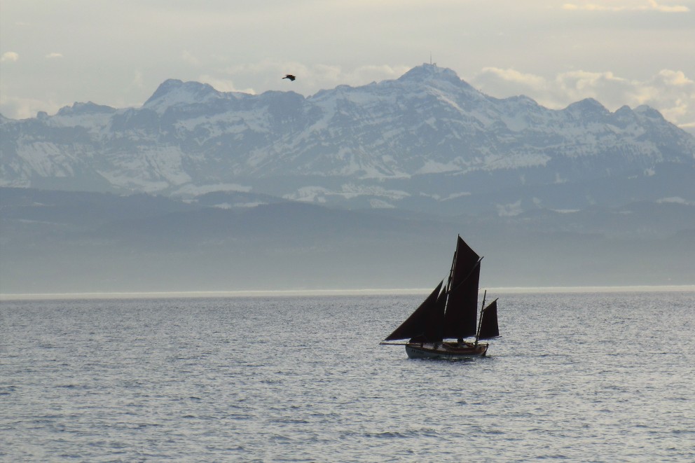 Die Mini Colin Archer vor Bergpanorama am Bodensee. Die Mini Colin Archer vor Bergpanorama am Bodensee.